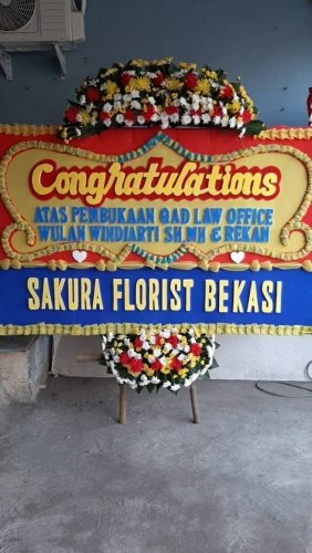 recent-project-img-1